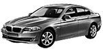 BMW F10 P1399 Fault Code